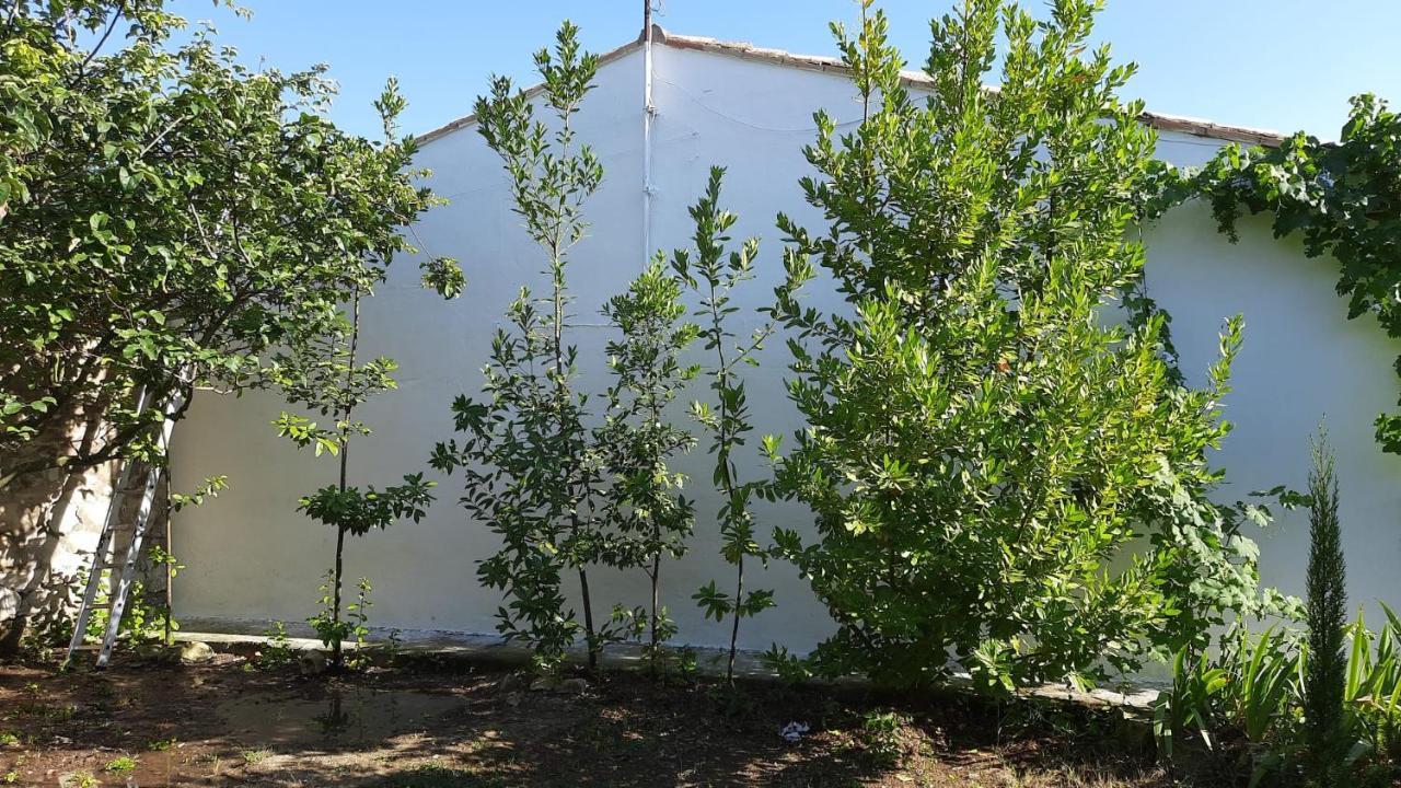 Casa Junto Al Parque Natural De Las Bardenas Sádaba Exterior foto